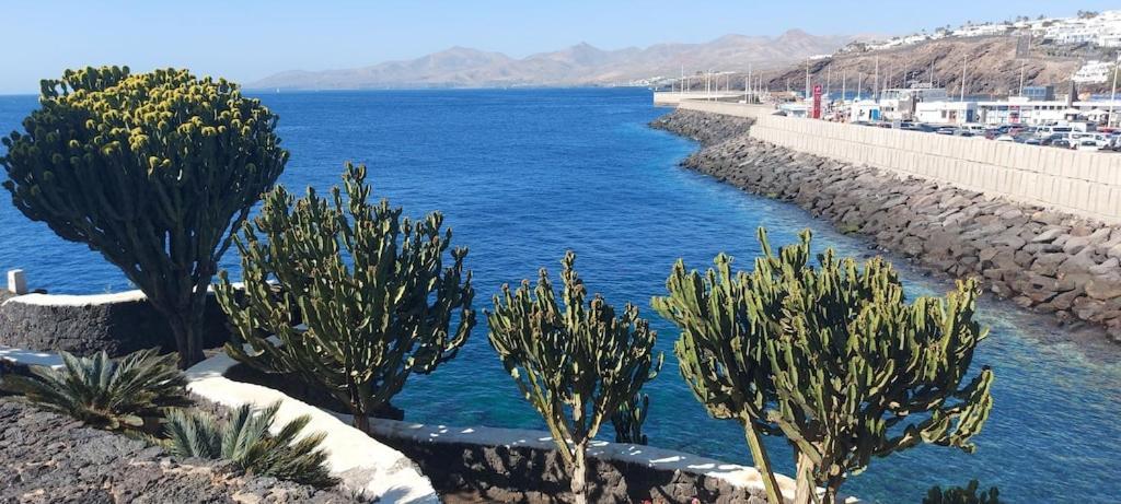 Oceanview Apartment Puerto del Carmen  Bagian luar foto
